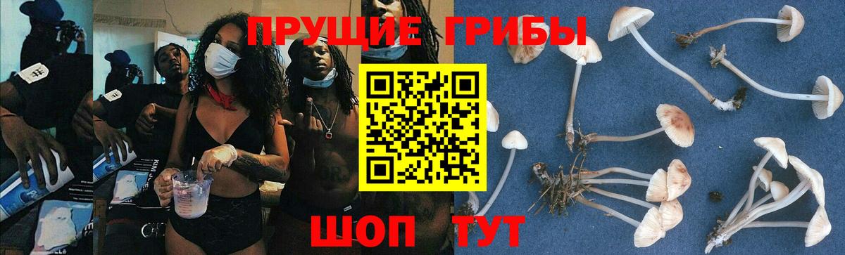Галлюциногенные грибы ЛСД Канаш
